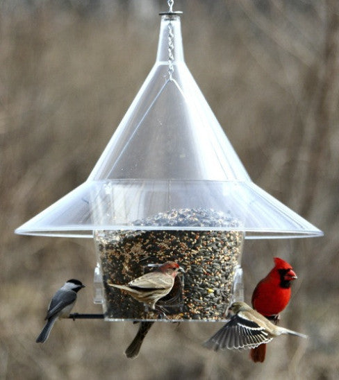 Mandarin Sky Cafe Squirrel Proof Bird Feeder